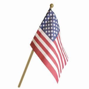 Image result for US flag stick