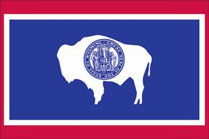 Valprin 4x6 Inch Wyoming Stick Flag ( 12 pack )