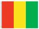 Valprin 4x6 Inch Guinea Stick Flag (minimum order 12)