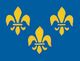 Perma-Nyl 3'x5' Nylon Fleur De Lis Flag