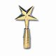Polished Brass Eastern Star