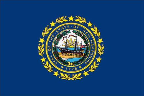 Spectrapro 4'x6' Polyester New Hampshire Flag