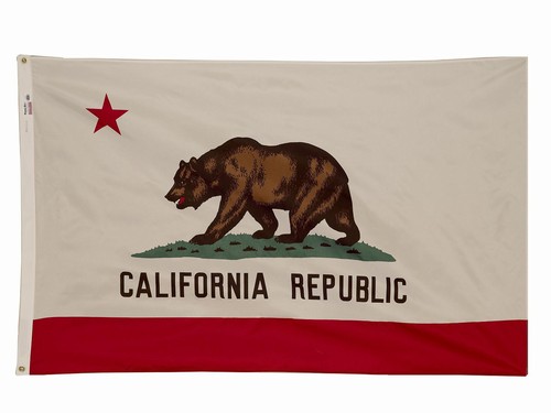 Spectramax Spectramax 5'x8' Nylon California Flag 58232050
