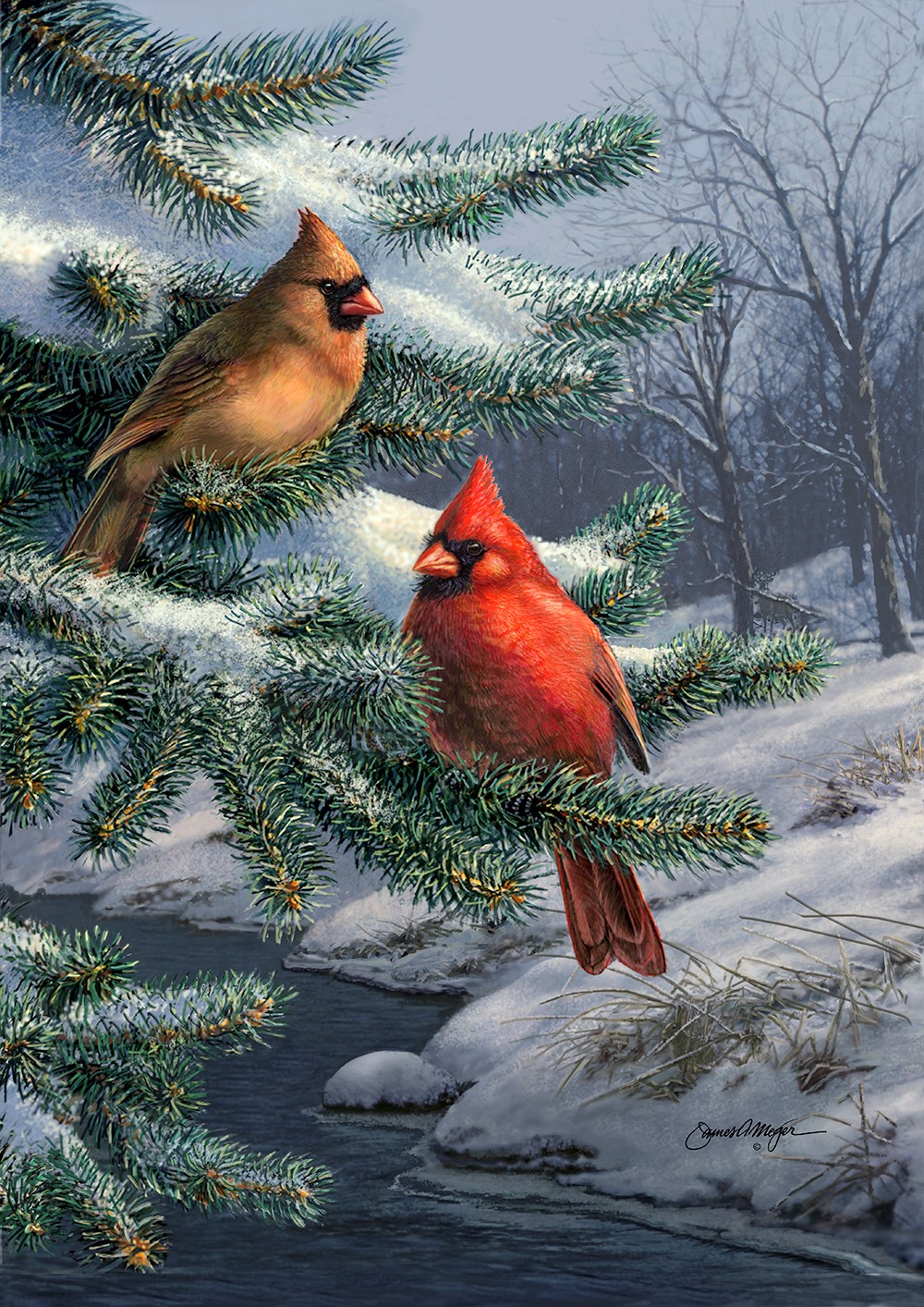 Toland Home Garden Winter Cardinals House Flag 2810269