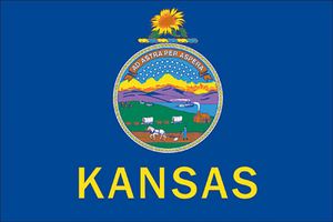 Spectrapro 3'x5' Polyester Kansas Flag