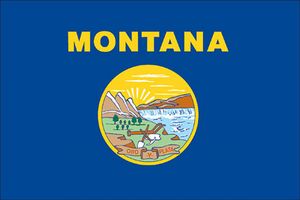 Spectrapro 4'x6' Polyester Montana Flag