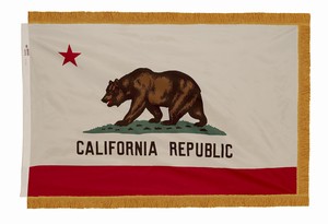 Spectramax 4'x6' Nylon Indoor California Flag