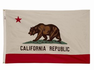 Spectramax Spectramax 5'x8' Nylon California Flag 58232050