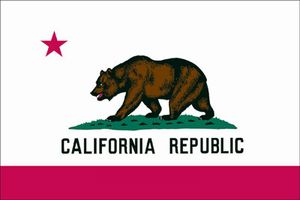 Spectramax 8'x12' Nylon California Flag