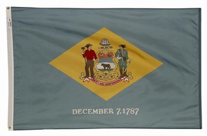 Spectramax 4'x6' Nylon Delaware Flag