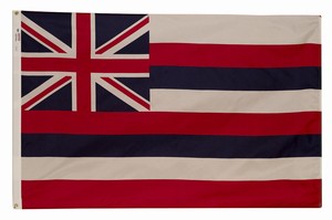 Spectramax 4'x6' Nylon Hawaii Flag