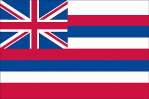 Spectramax 8'x12' Nylon Hawaii Flag