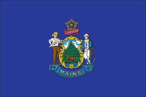 Spectramax 8'x12' Nylon Maine Flag