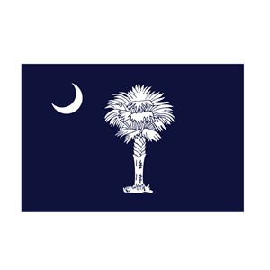 Valprin 4x6 Inch South Carolina Stick Flag ( 12 pack )