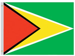 Perma-Nyl 5'x8' Nylon Guyana Flag