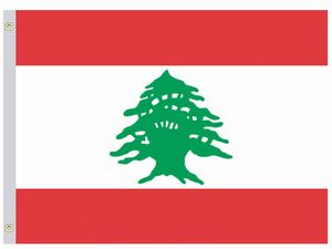 Perma-Nyl 5'x8' Nylon Lebanon Flag