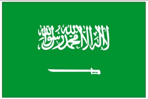 Perma-Nyl 2'x3' Nylon Saudi Arabia Flag