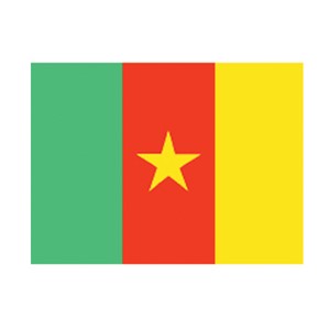 Valprin 4x6 Inch Cameroon Stick Flag ( 12 pack )