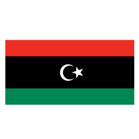 Valprin 4x6 Inch Libya Stick Flag ( 12 pack )