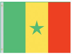 Valprin 4x6 Inch Senegal Stick Flag ( 12 pack )