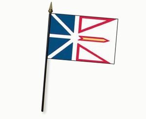 Valprin 4x6 Inch New Foundland Stick Flag  ( 12 pack )