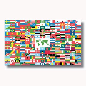 3'x5' The World Flag