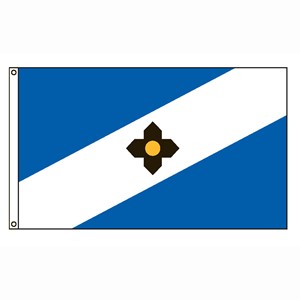 3'x5' Nylon Madison City Flag