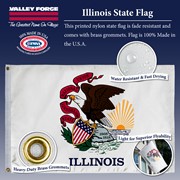 Spectramax Spectramax 2'x3' Nylon Illinois Flag 23232130 View 3