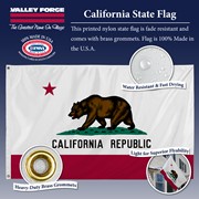 Perma-Nyl Perma-Nyl 3'x5' California Flag - Retail Packaging CA3 View 4