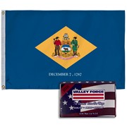 Spectramax 2'x3' Nylon Delaware Flag