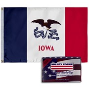 Spectramax 2'x3' Nylon Iowa Flag
