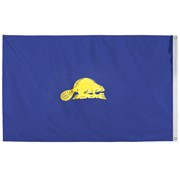 Spectramax 5'x8' Nylon Oregon Flag