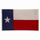 Spectramax 4'x6' Nylon Texas Flag