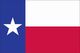 Valprin 4x6 Inch Polyester Texas Stick Flag