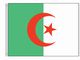Perma-Nyl 2'x3' Nylon Algeria Flag