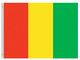 Perma-Nyl 2'x3' Nylon Guinea Flag