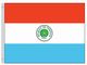 Perma-Nyl 3'x5' Nylon Paraguay Flag