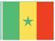 Perma-Nyl 2'x3' Nylon Senegal Flag