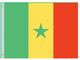 Perma-Nyl 4'x6' Nylon Senegal Flag