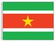 Perma-Nyl 3'x5' Nylon Suriname Flag