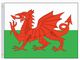 Perma-Nyl 3'x5' Nylon Wales Flag