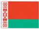 Valprin 4x6 Inch Belarus Stick Flag (minimum order 12)