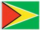 Valprin 4x6 Inch Guyana Stick Flag (minimum order 12)