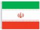 Valprin 4x6 Inch Iran Stick Flag (minimum order 12)