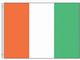 Valprin 4x6 Inch Ivory Coast Stick Flag (minimum order 12)