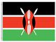 Valprin 4x6 Inch Kenya Stick Flag (minimum order 12)