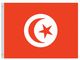 Valprin 4x6 Inch Tunisia Stick Flag (minimum order 12)