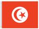 Valprin 4x6 Inch Tunisia Stick Flag (minimum order 12)