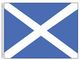 Valprin 4x6 Inch Scotland Cross Of St. Andrew Stick Flag (minimum order 12)