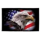 PermaNyl 3' x 5' "America Strong" Eagle